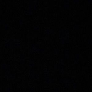 Meet your Posher, Reggie